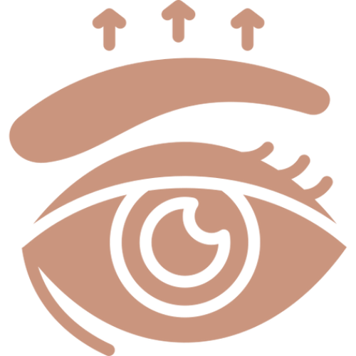 Content-Creator-Project-3